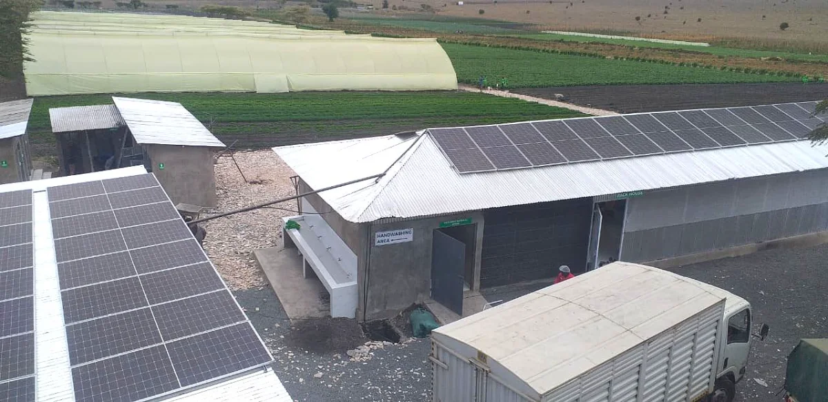 Rooftop solar arrays powering cold storage and packhouse buildings at a Kenyan horticulture operation