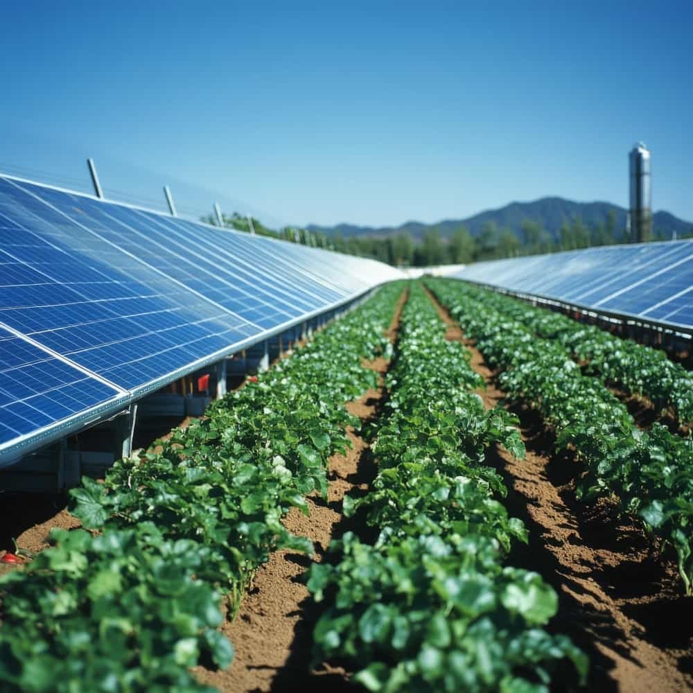Agricultural Solar